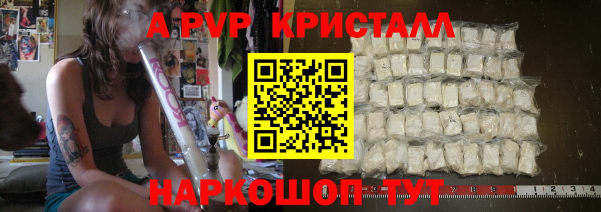 A PVP СК КРИС Сосновоборск