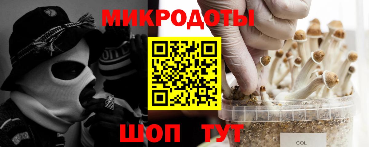 Галлюциногенные грибы MAGIC MUSHROOMS Сосновоборск